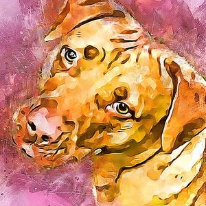 Meet your Posher, Marie